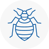 Bed Bug Extermination In Kirkby